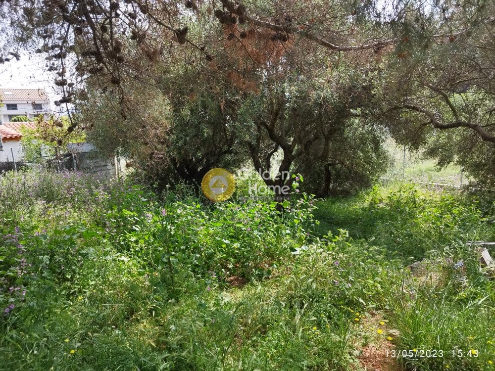 Building Plot in Zirineio, Kifisia — Photo 6 of 16