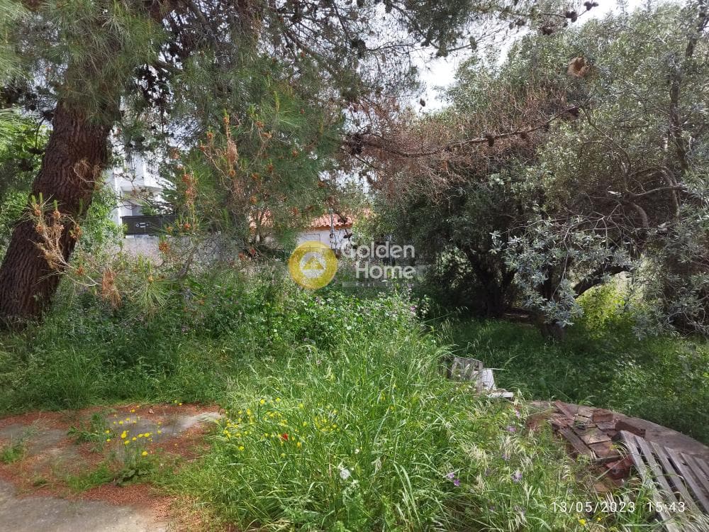 Building Plot in Zirineio, Kifisia — Photo 7 of 16