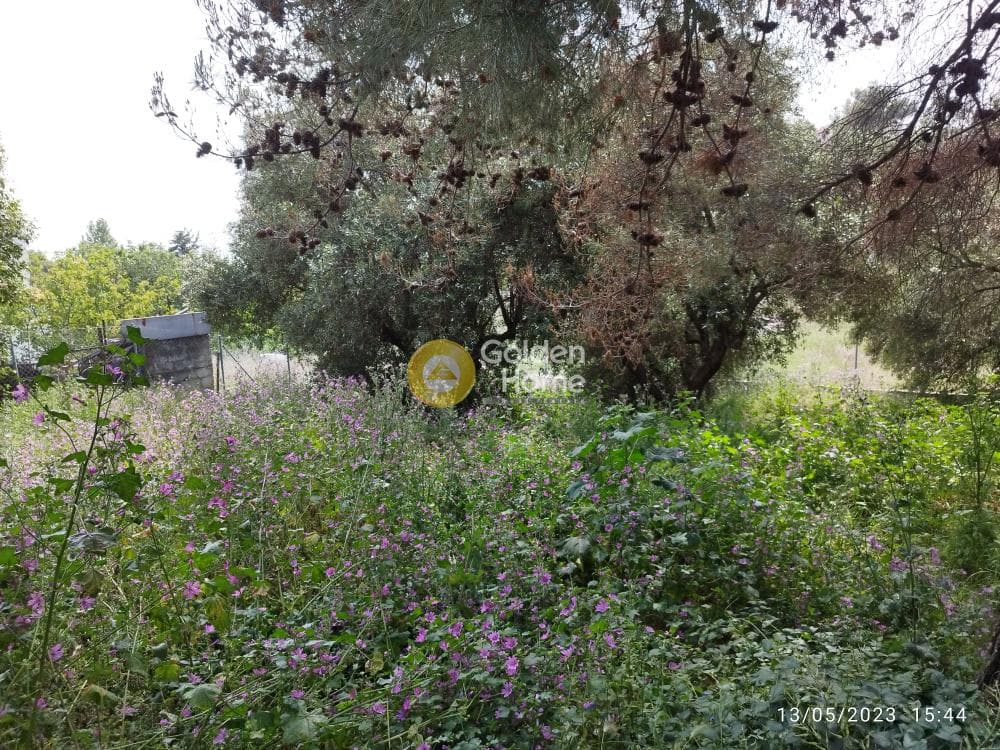 Building Plot in Zirineio, Kifisia — Photo 11 of 16