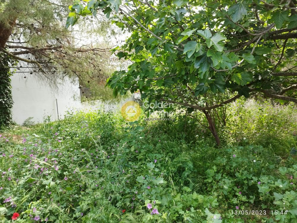 Building Plot in Zirineio, Kifisia — Photo 12 of 16