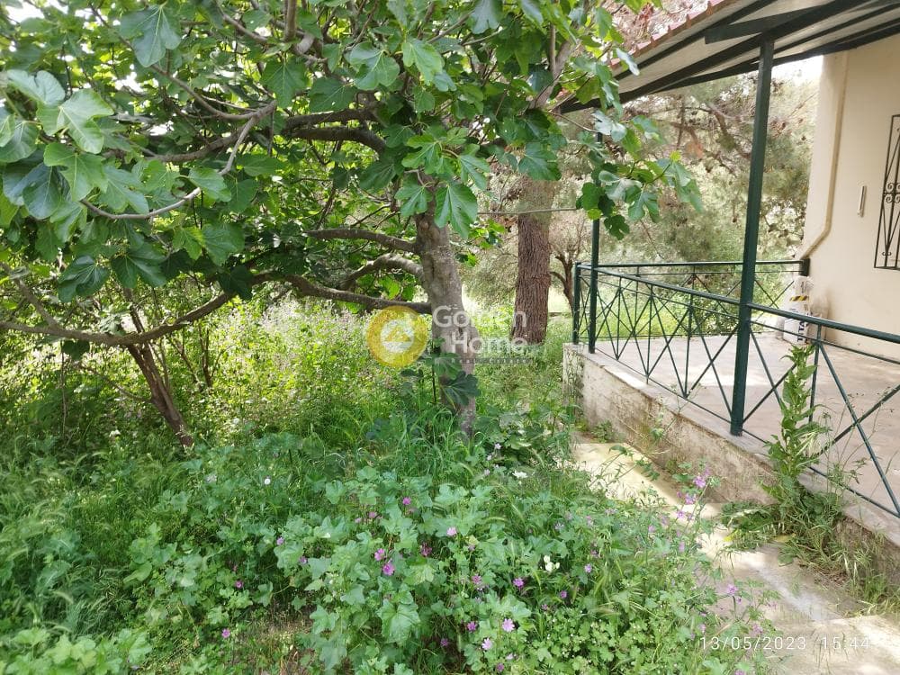 Building Plot in Zirineio, Kifisia — Photo 13 of 16