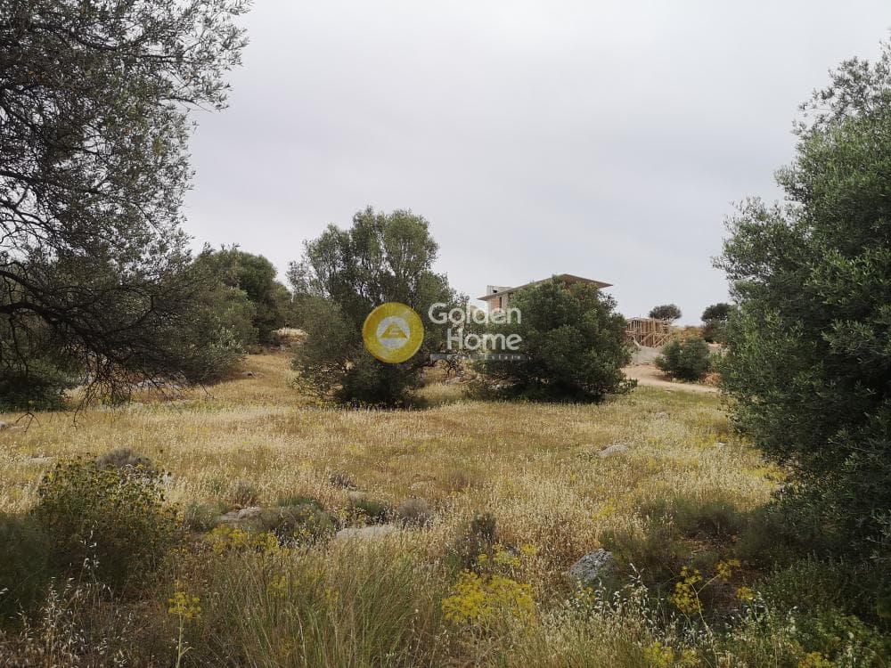 Parcel in Κέντρο, Kalivia Thorikou — Photo 4 of 6