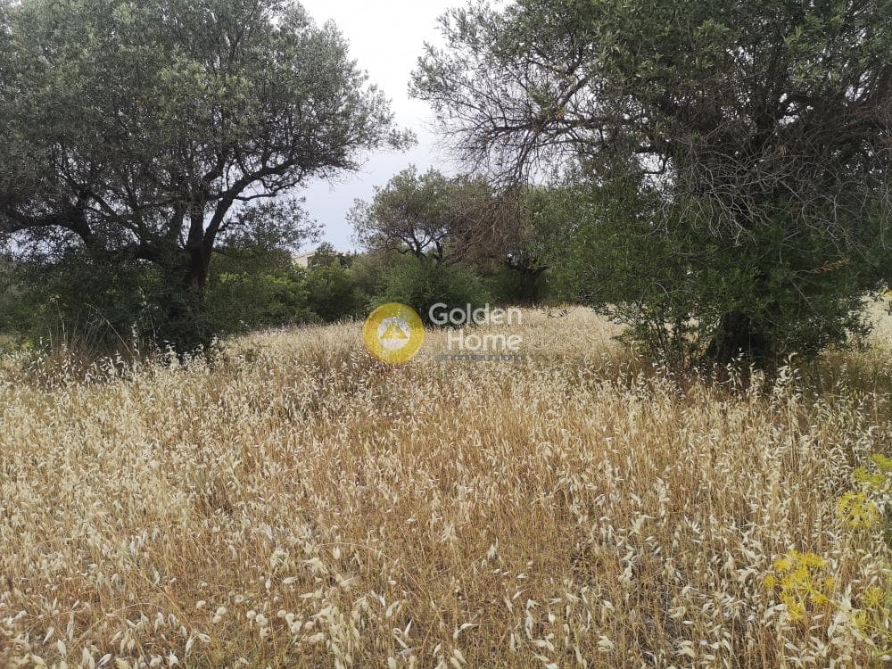 Parcel in Κέντρο, Kalivia Thorikou — Photo 6 of 6