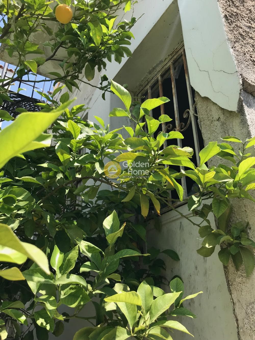 Οικόπεδο στην Πυργούθι, Αχαρνές — Φωτογραφία 6 από 9