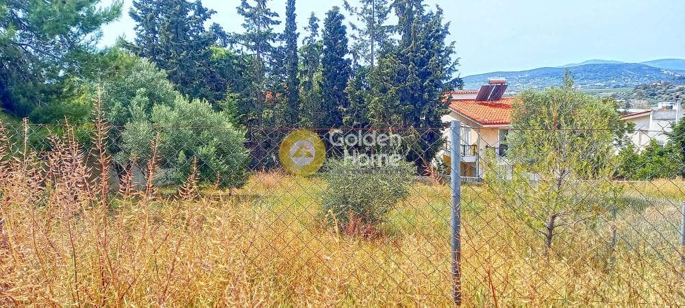 Οικόπεδο στην Άνω Βακαλόπουλο, Πικέρμι — Φωτογραφία 4 από 5