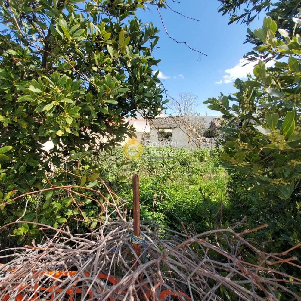 House in Venio Daskaleiou, Keratea — Photo 6 of 6