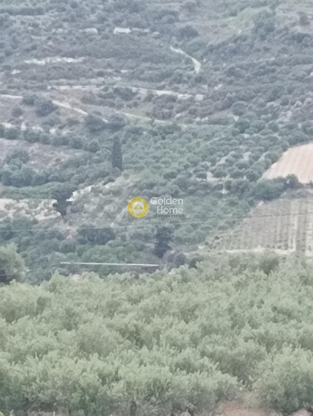 Αγροτεμάχιο στην Δαφνές, Τετραχώρι — Φωτογραφία 3 από 4