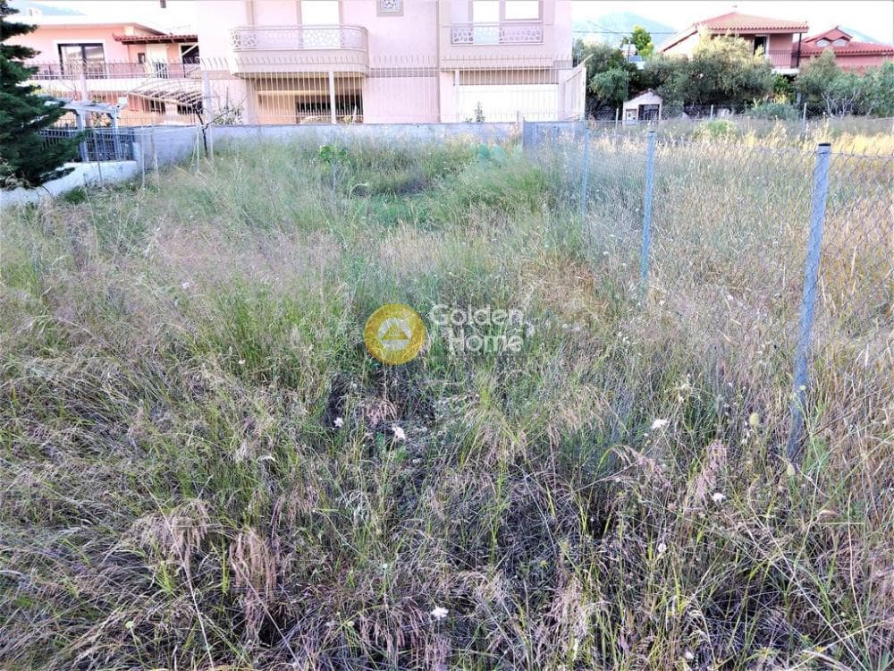 Οικόπεδο στην Μεγάλα Σχοινία Α, Αχαρνές — Φωτογραφία 6 από 6