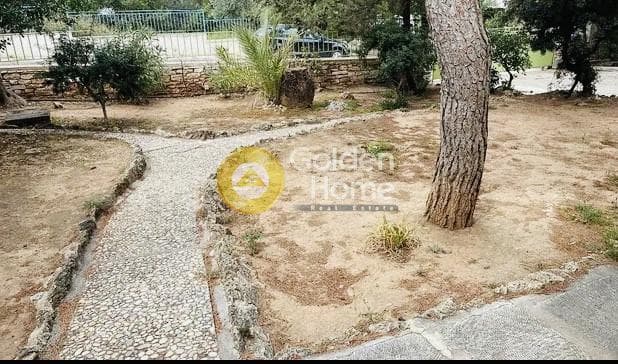 House in Oikismos Vgena, Rafina — Photo 10 of 10