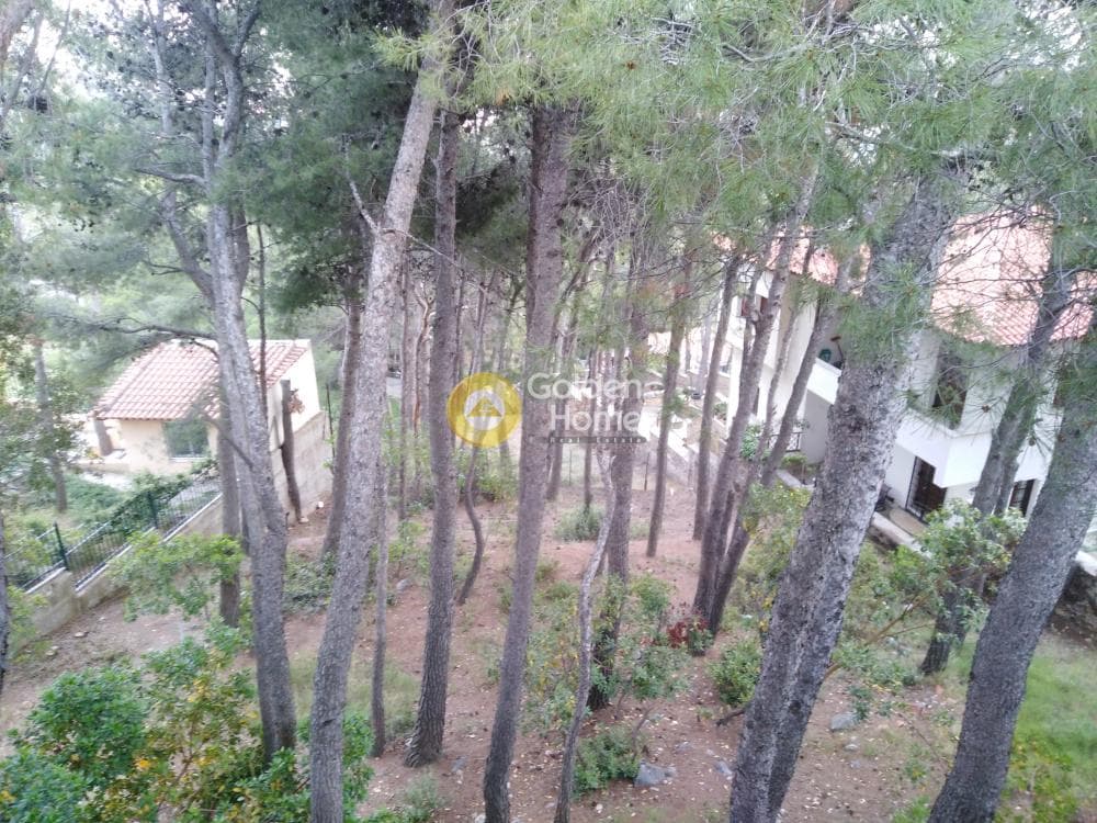 House in Megala Sxoinia A, Acharnes — Photo 16 of 40