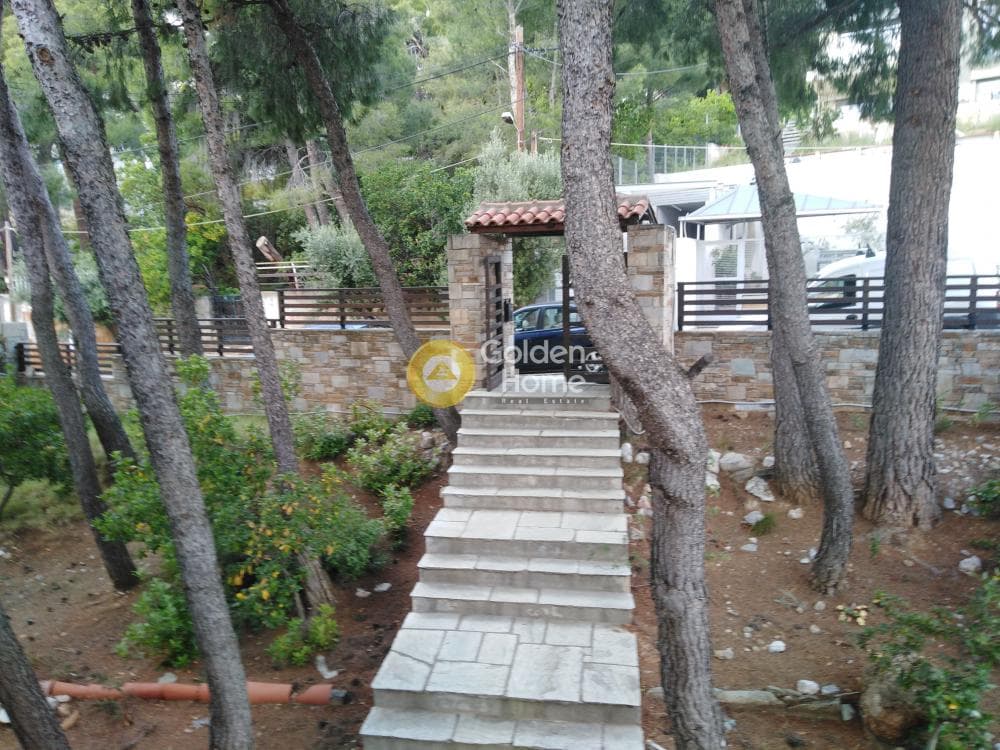 House in Megala Sxoinia A, Acharnes — Photo 17 of 40