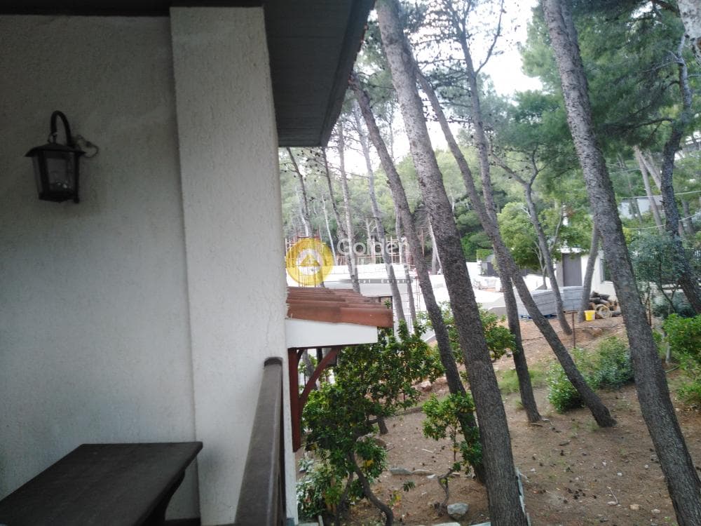 House in Megala Sxoinia A, Acharnes — Photo 20 of 40