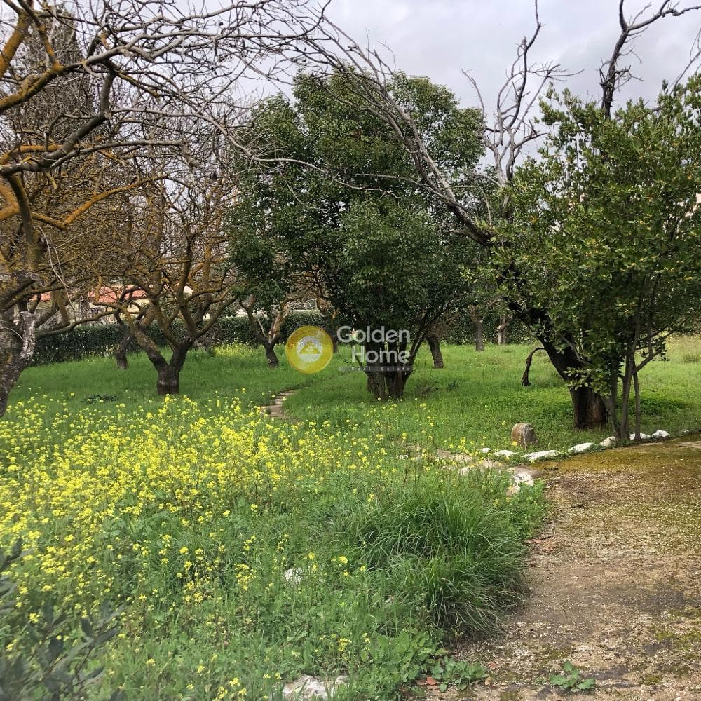 Οικόπεδο στην Κοκκινιά, Μαρούσι — Φωτογραφία 1 από 7