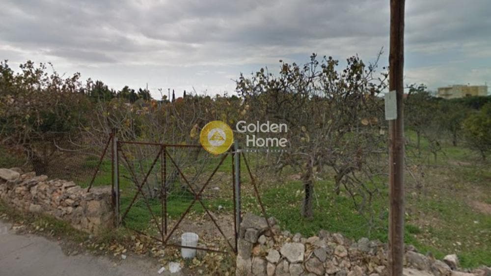 Building Plot in Kipseli, Aegina — Photo 3 of 4