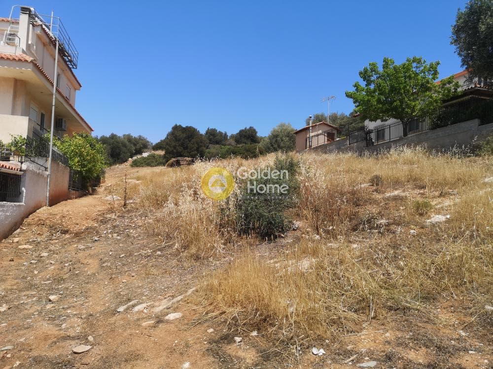 Αγροτεμάχιο στην Γαλάζια ακτή, Καλύβια Θορικού — Φωτογραφία 5 από 5