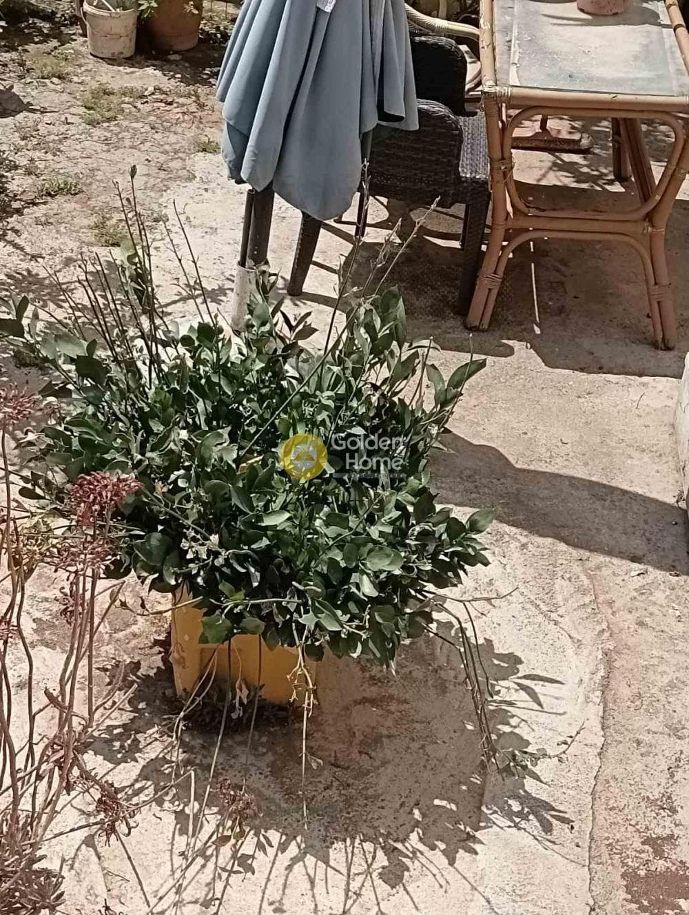 Οικόπεδο στην Πόρος, Ηράκλειο Κρήτης — Φωτογραφία 3 από 6