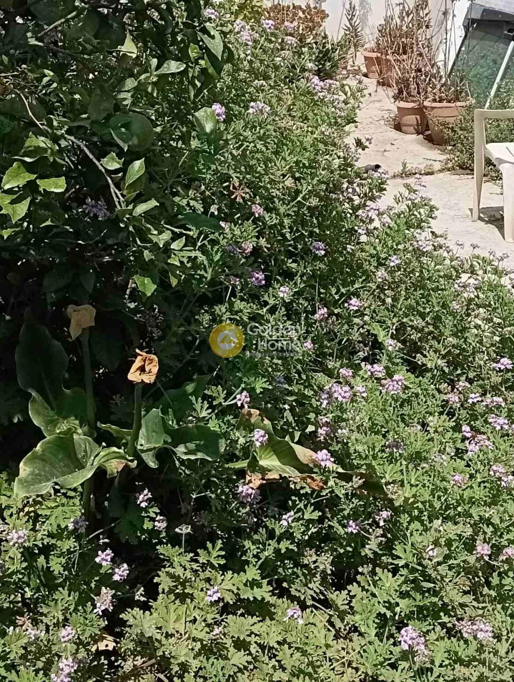 Οικόπεδο στην Πόρος, Ηράκλειο Κρήτης — Φωτογραφία 2 από 6