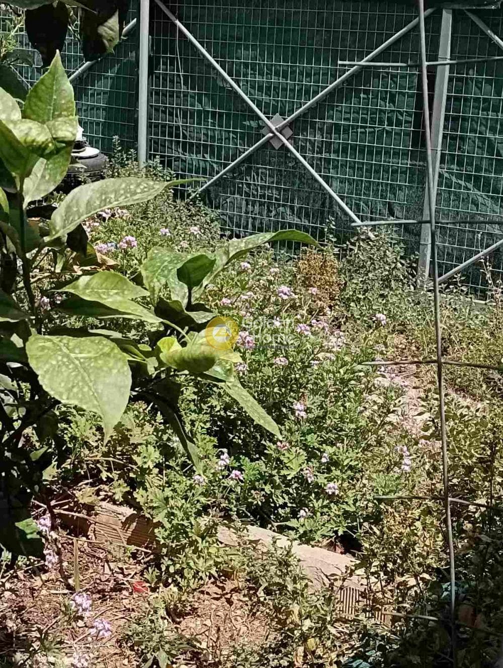 Οικόπεδο στην Πόρος, Ηράκλειο Κρήτης — Φωτογραφία 1 από 6