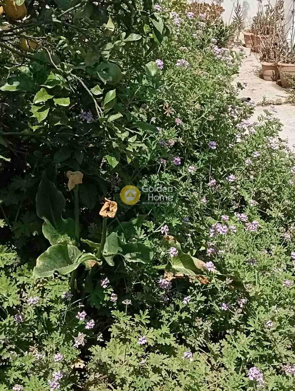 Οικόπεδο στην Πόρος, Ηράκλειο Κρήτης — Φωτογραφία 6 από 6