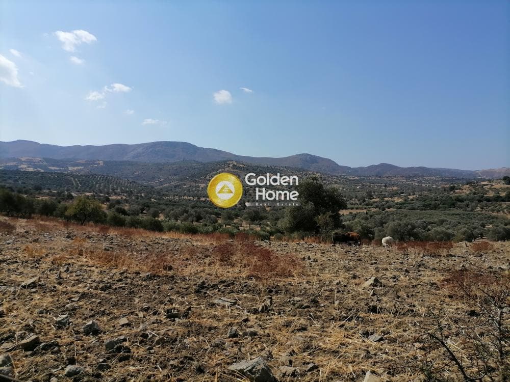 Οικόπεδο στην Πιτσίδια, Τυμπάκι — Φωτογραφία 2 από 2