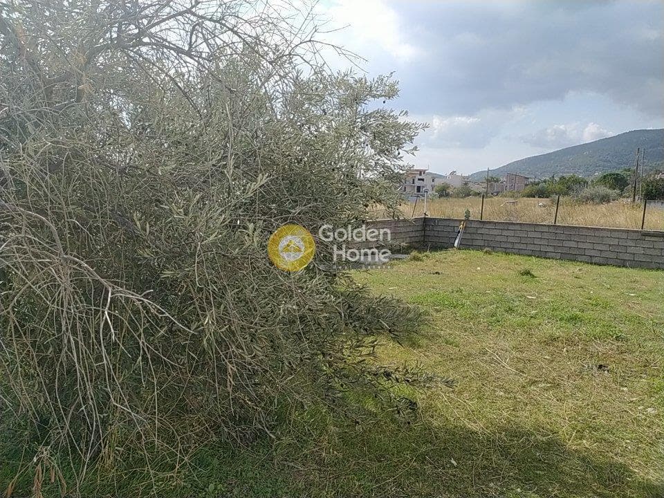 Οικόπεδο στην Μεγάλα Σχοινία Α, Αχαρνές — Φωτογραφία 5 από 5
