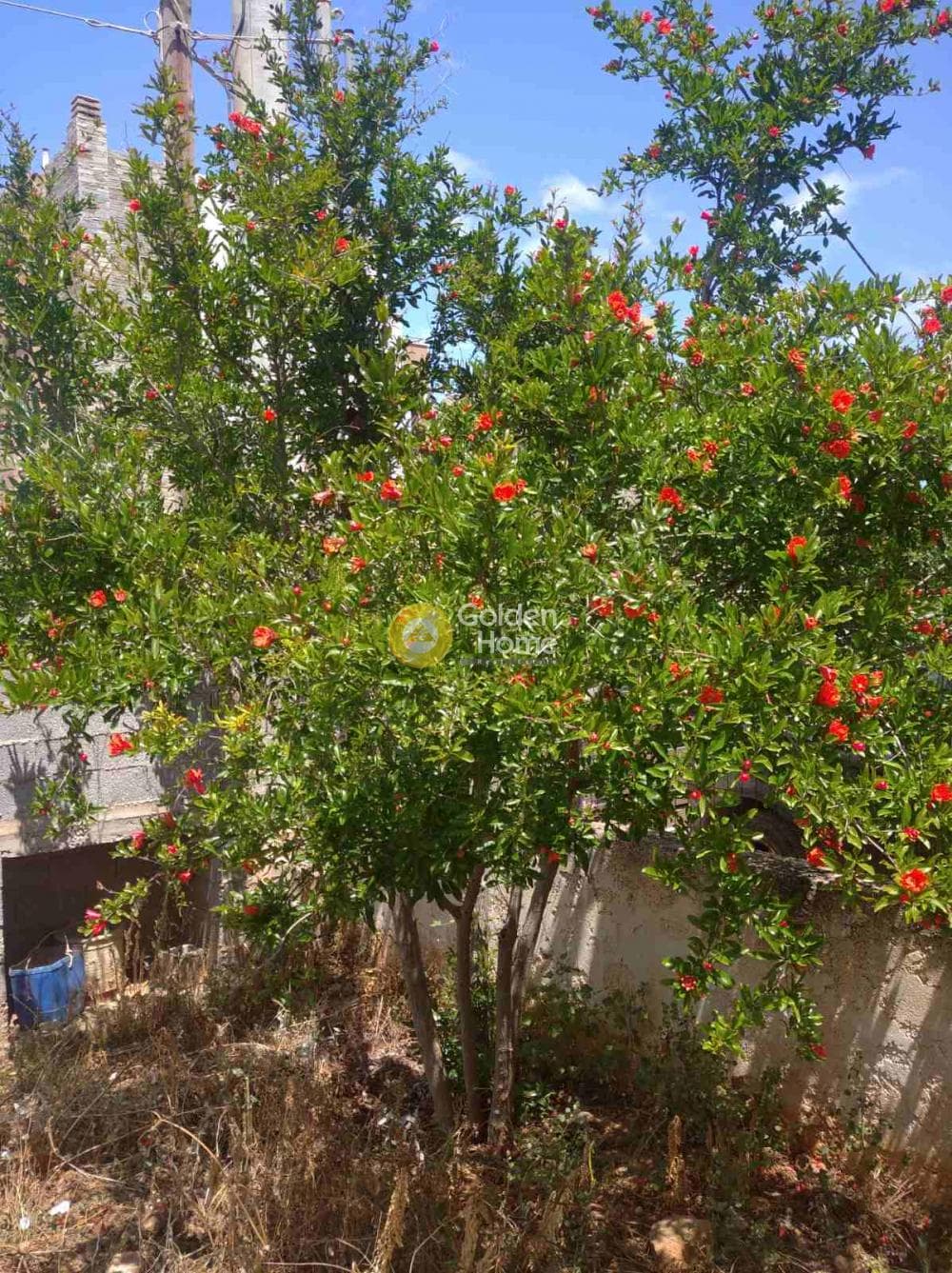 Μονοκατοικία στην Πόρτο Ράφτη, Βραυρώνα — Φωτογραφία 8 από 13