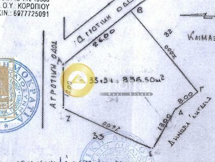 Αγροτεμάχιο στην Μικρολίμανο, Λαύριο — Φωτογραφία 2 από 2