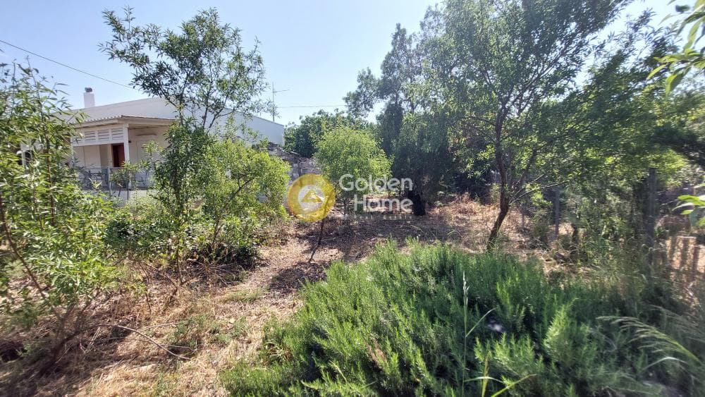 Οικόπεδο στην Νομισματοκοπειο, Χαλάνδρι — Φωτογραφία 5 από 14
