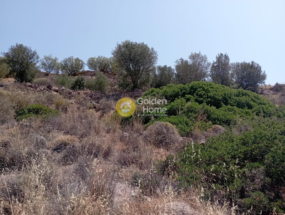 Building Plot in Kapotides, Aegina — Photo 4 of 11