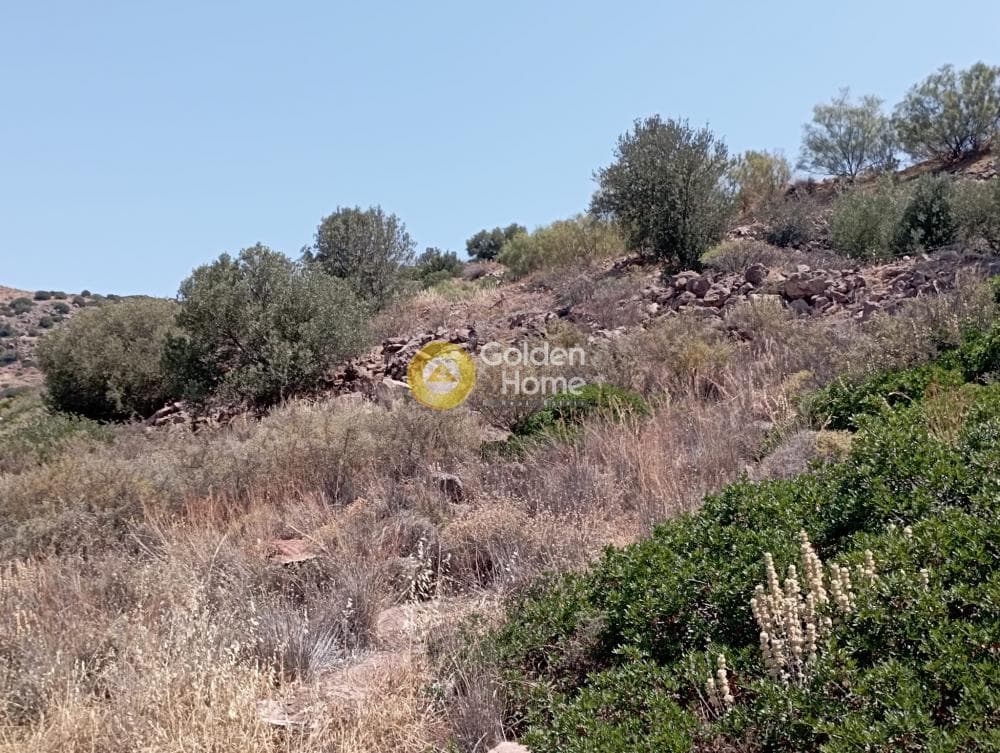 Building Plot in Kapotides, Aegina — Photo 6 of 11
