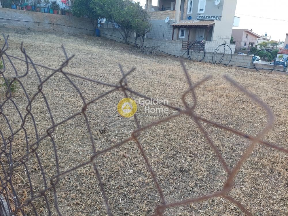 Οικόπεδο στην Βορινέζα, Αρτέμιδα (Λούτσα) — Φωτογραφία 4 από 10