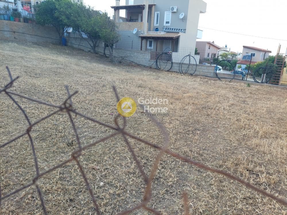 Οικόπεδο στην Βορινέζα, Αρτέμιδα (Λούτσα) — Φωτογραφία 6 από 10
