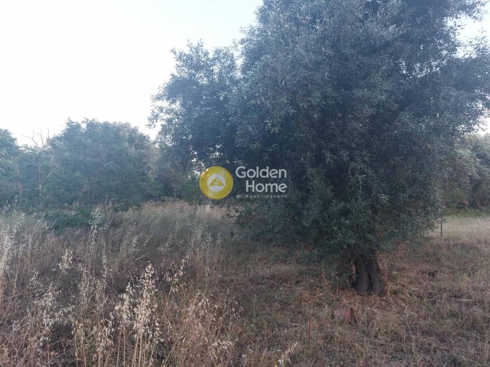 Building Plot in Agia Kiriaki, Kifisia — Photo 2 of 3