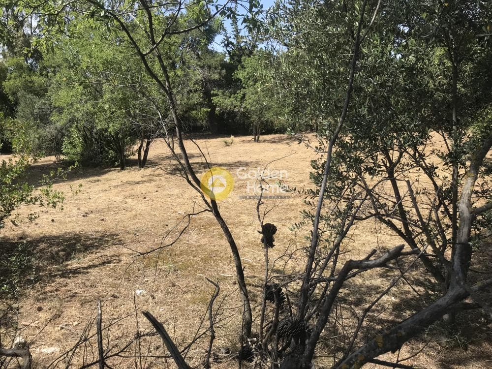 Οικόπεδο στην Αδάμες (Οικισμός Πελοποννησίων), Κηφισιά — Φωτογραφία 9 από 21