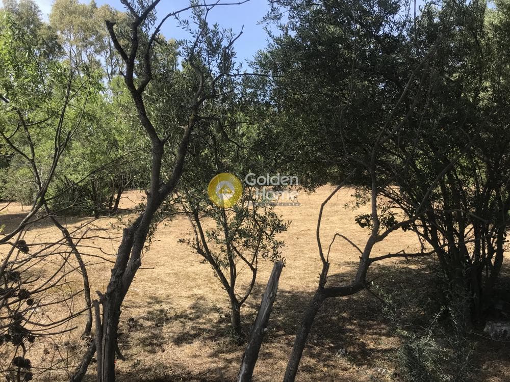 Οικόπεδο στην Αδάμες (Οικισμός Πελοποννησίων), Κηφισιά — Φωτογραφία 10 από 21