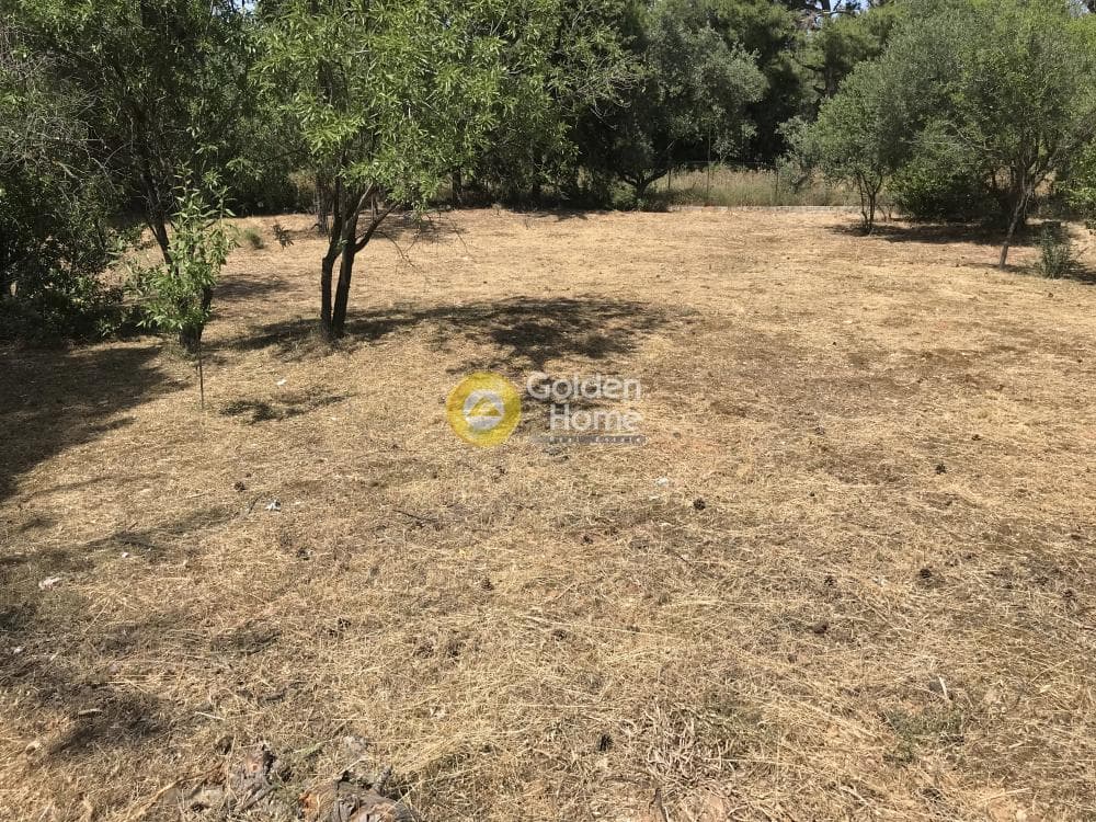Οικόπεδο στην Αδάμες (Οικισμός Πελοποννησίων), Κηφισιά — Φωτογραφία 5 από 21