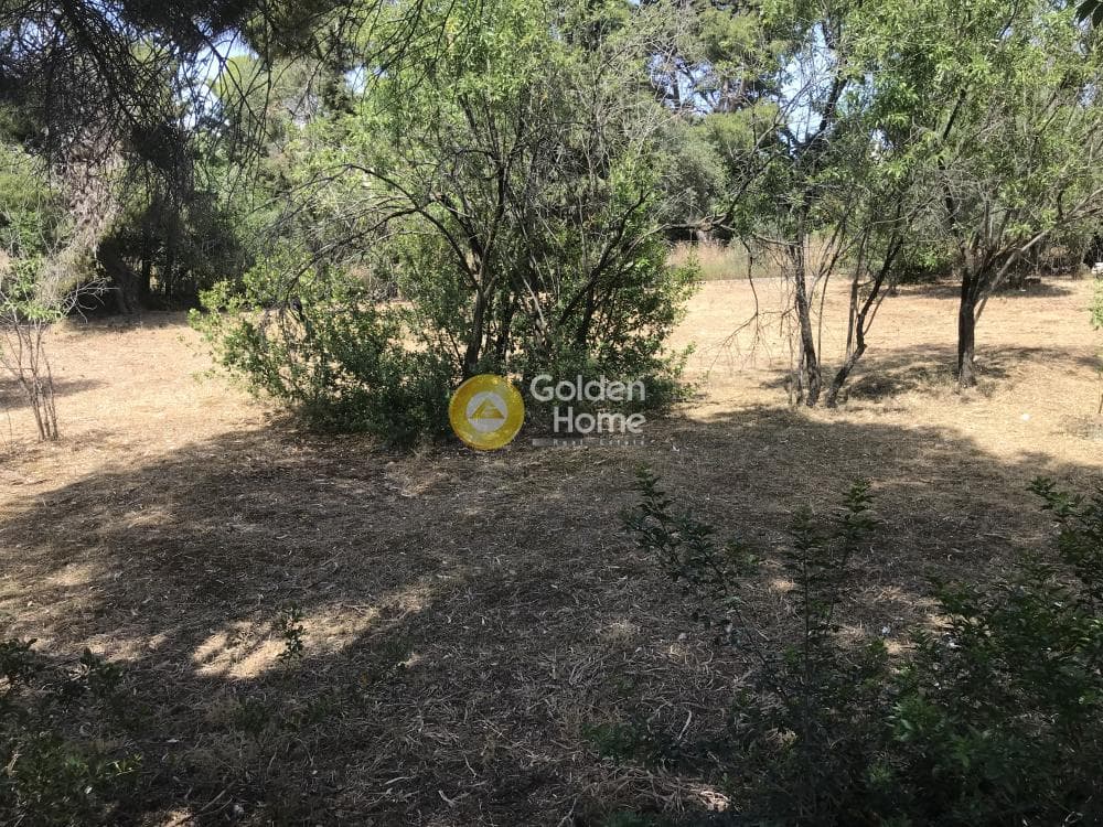 Οικόπεδο στην Αδάμες (Οικισμός Πελοποννησίων), Κηφισιά — Φωτογραφία 11 από 21