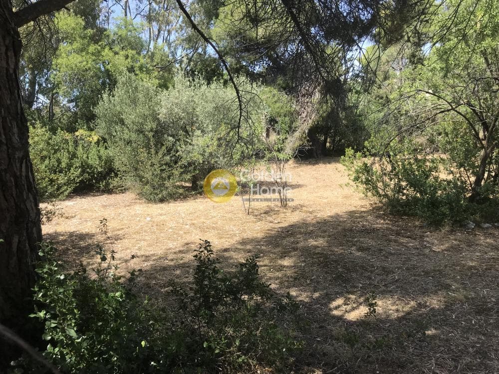 Οικόπεδο στην Αδάμες (Οικισμός Πελοποννησίων), Κηφισιά — Φωτογραφία 13 από 21