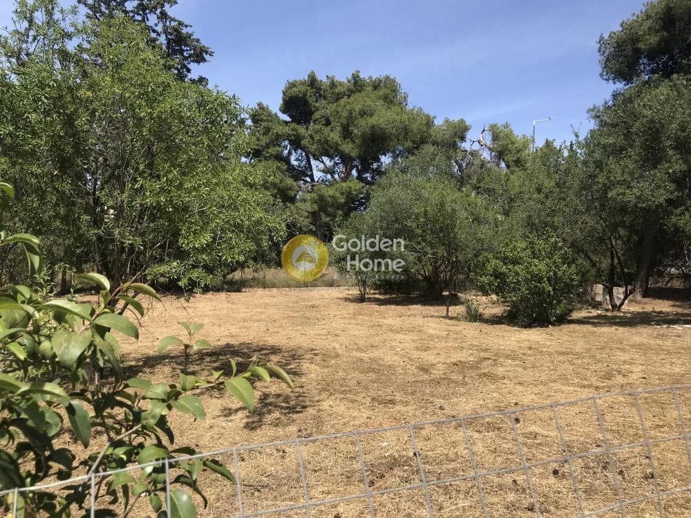 Οικόπεδο στην Αδάμες (Οικισμός Πελοποννησίων), Κηφισιά — Φωτογραφία 15 από 21