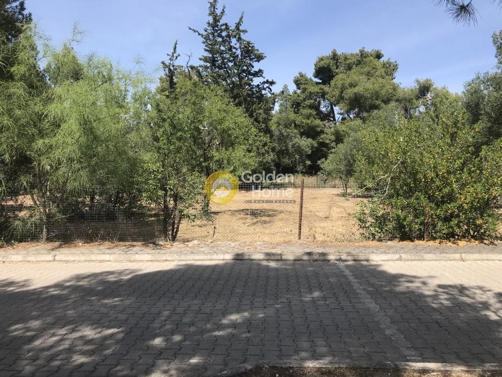 Οικόπεδο στην Αδάμες (Οικισμός Πελοποννησίων), Κηφισιά — Φωτογραφία 4 από 21
