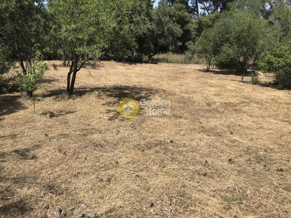 Οικόπεδο στην Αδάμες (Οικισμός Πελοποννησίων), Κηφισιά — Φωτογραφία 7 από 21