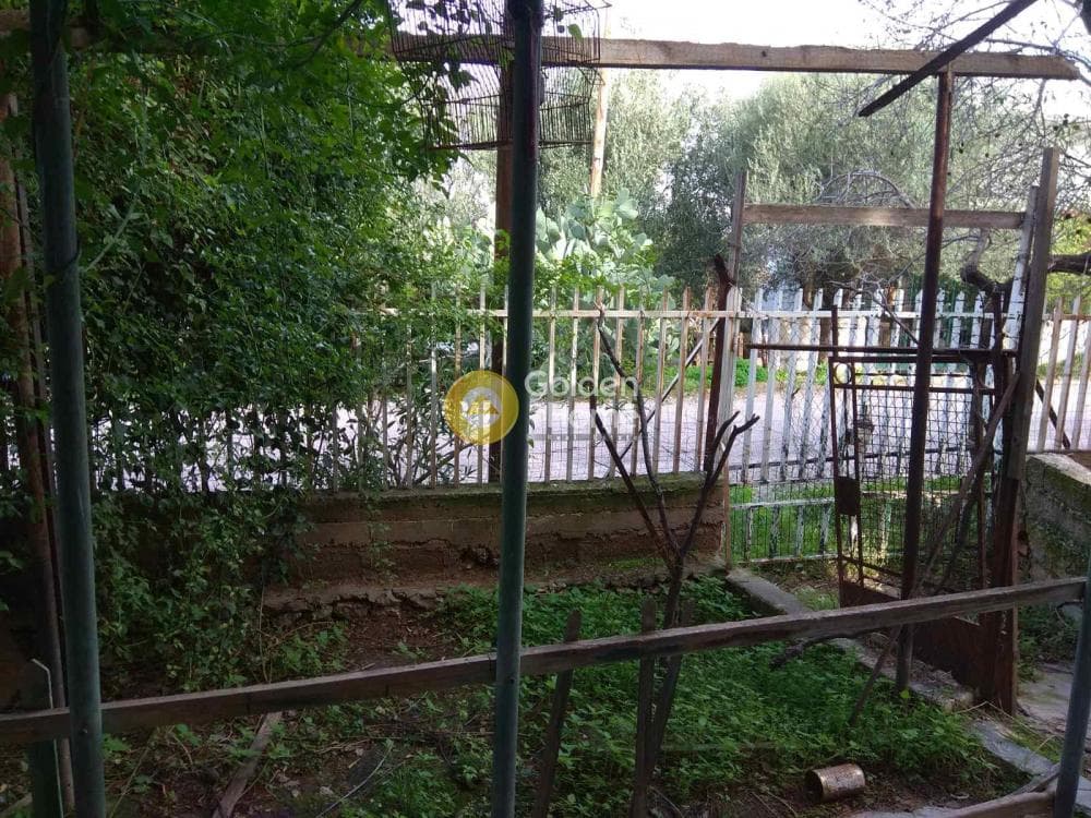 Building Plot in Selinia, Salamina — Photo 4 of 5