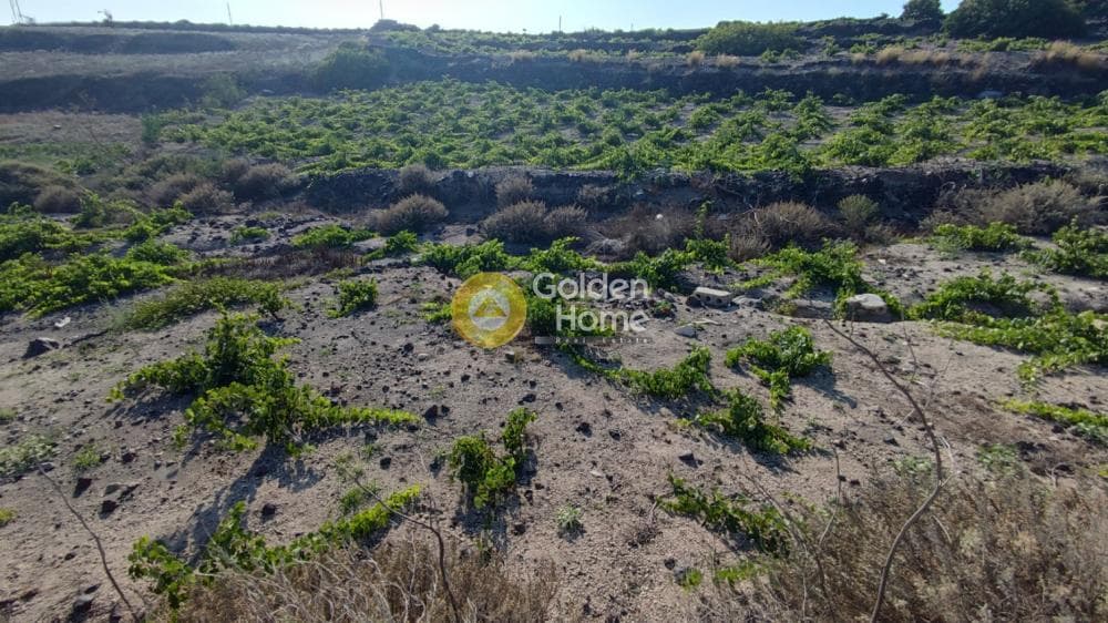 Αγροτεμάχιο στην Κέντρο, Σαντορίνη — Φωτογραφία 3 από 4