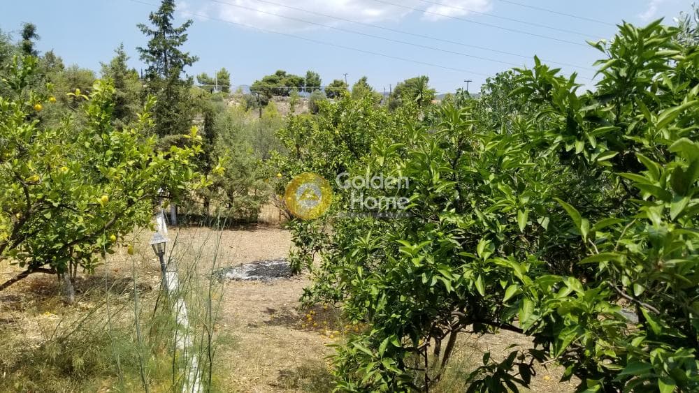 Μονοκατοικία στην Άγιοι Θεόδωροι, Άγιοι Θεόδωροι — Φωτογραφία 31 από 33