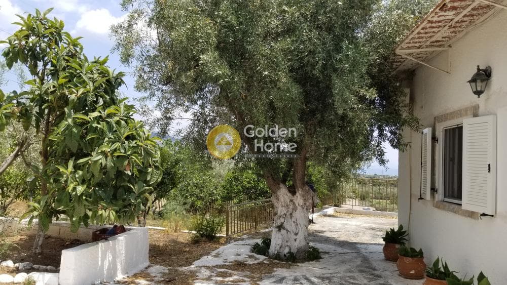 Μονοκατοικία στην Άγιοι Θεόδωροι, Άγιοι Θεόδωροι — Φωτογραφία 14 από 33