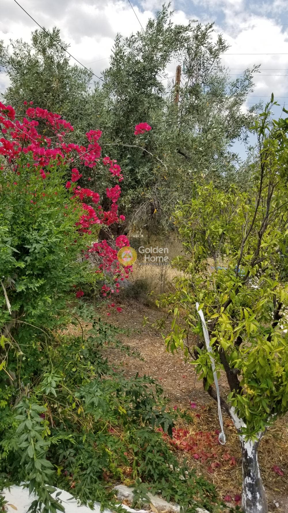 Μονοκατοικία στην Άγιοι Θεόδωροι, Άγιοι Θεόδωροι — Φωτογραφία 32 από 33