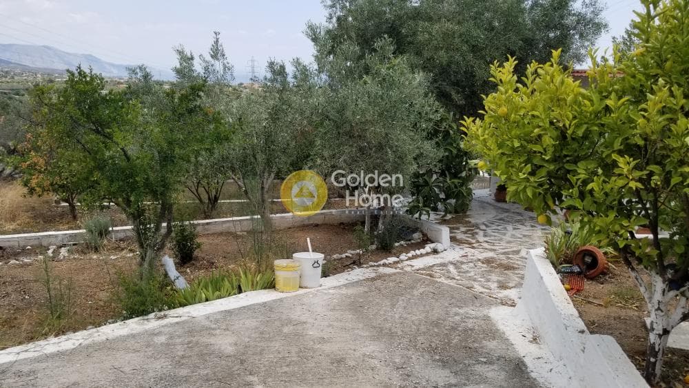 Μονοκατοικία στην Άγιοι Θεόδωροι, Άγιοι Θεόδωροι — Φωτογραφία 27 από 33