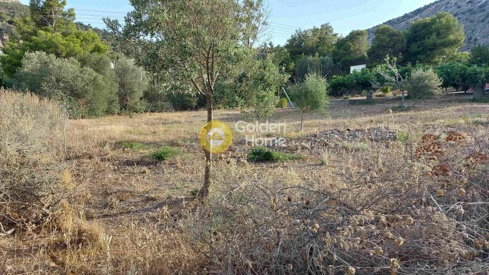 Building Plot in Porto Rafti, Vravrona — Photo 8 of 9