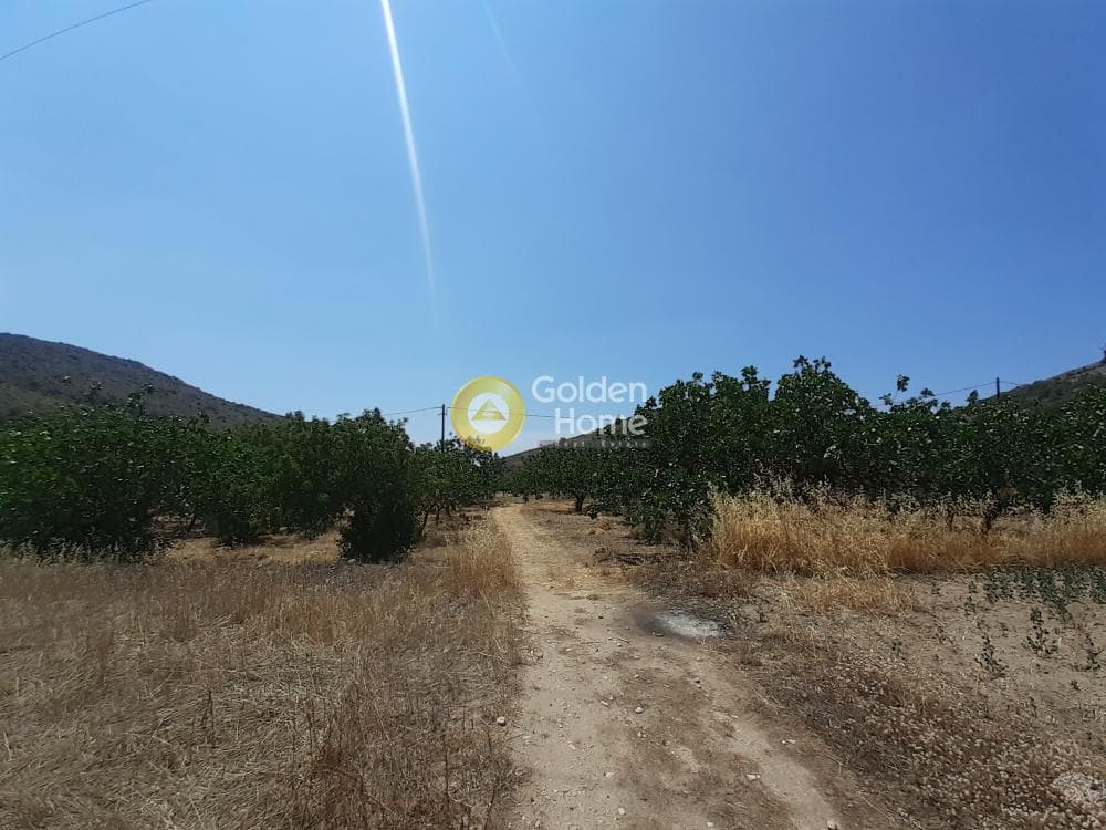 Building Plot in Kontos, Aegina — Photo 2 of 5