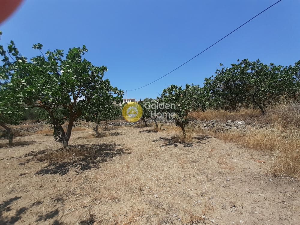 Building Plot in Kontos, Aegina — Photo 3 of 5